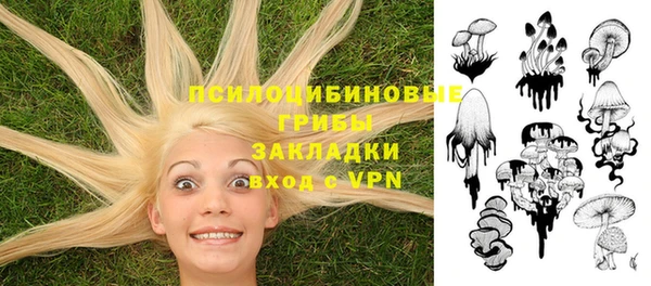 таблы Алзамай
