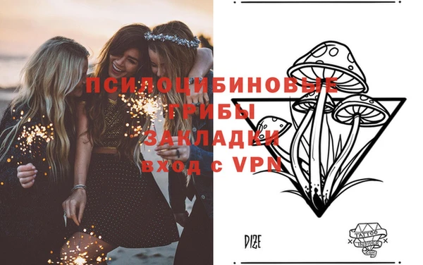 ALPHA-PVP Алексин